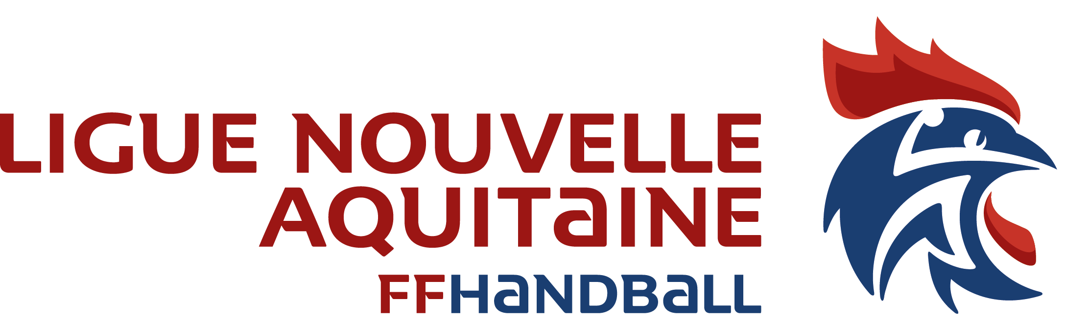 Ligue Nouvelle Aquitaine de Handball